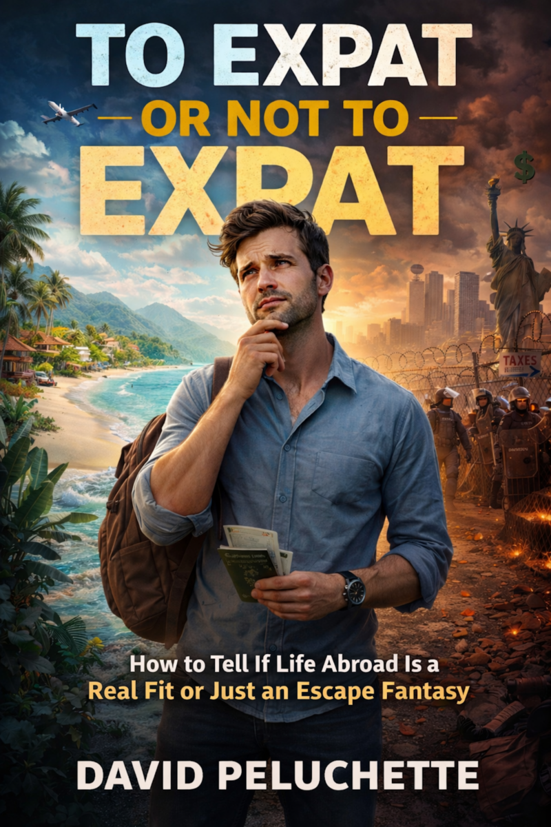 To Expat or Not To Expat ebook cover