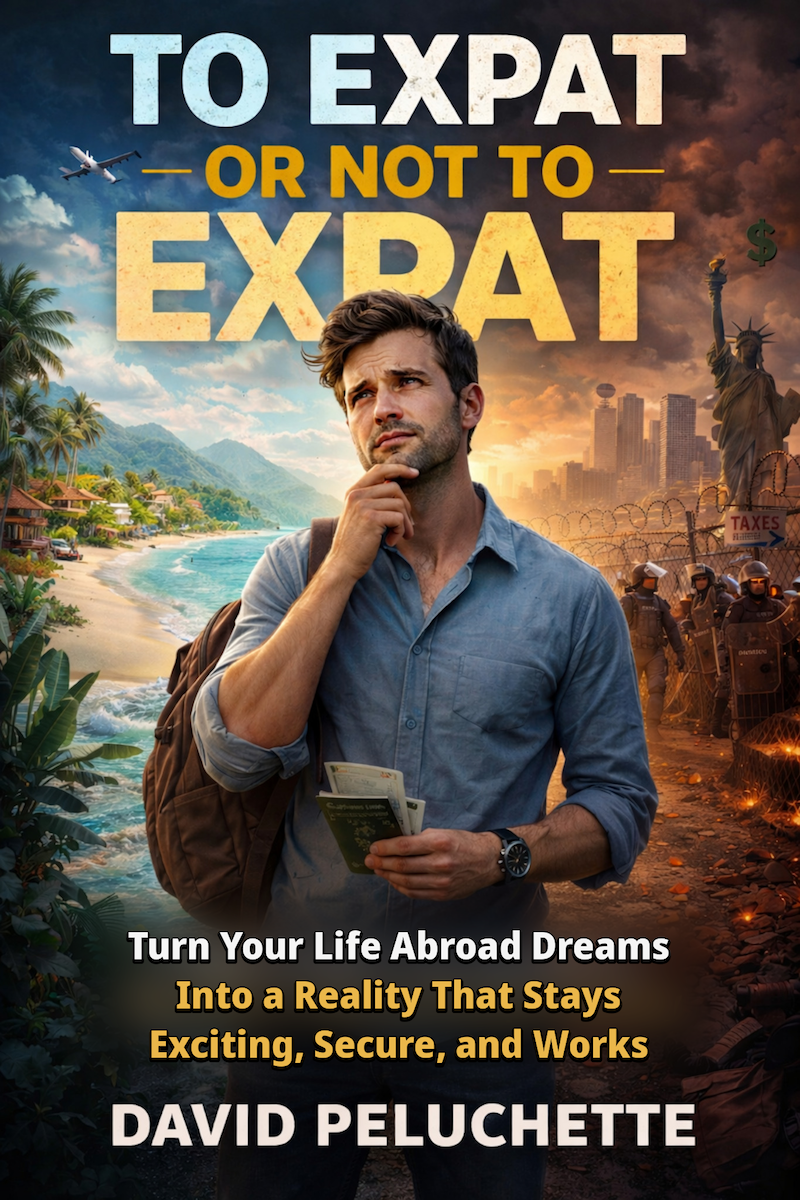 To Expat or Not To Expat ebook cover